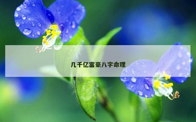几千亿富豪八字命理