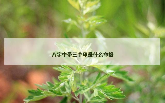 八字中带三个印是什么命格