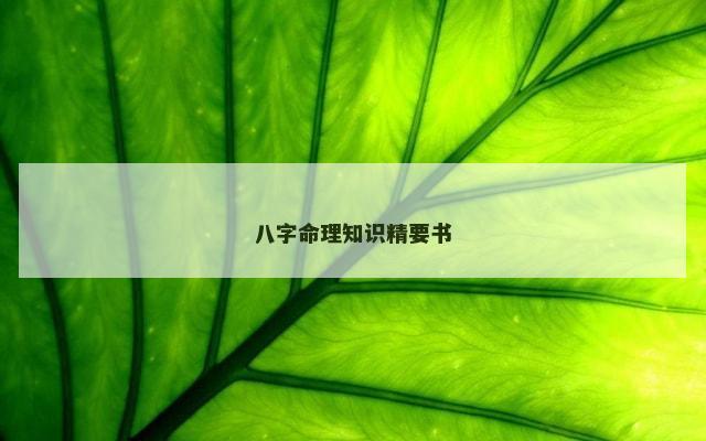 八字命理知识精要书