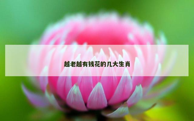 越老越有钱花的几大生肖