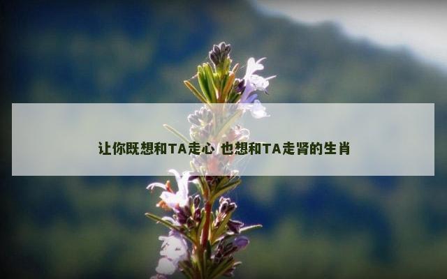 让你既想和TA走心 也想和TA走肾的生肖