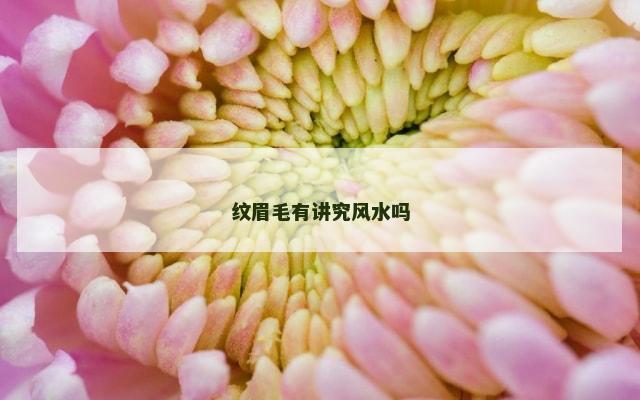纹眉毛有讲究风水吗