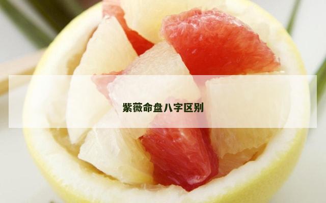 紫薇命盘八字区别
