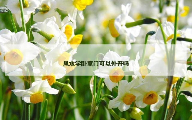 风水学卧室门可以外开吗