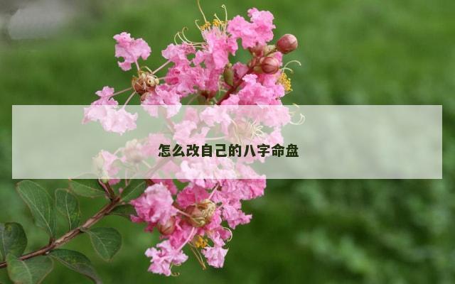 怎么改自己的八字命盘