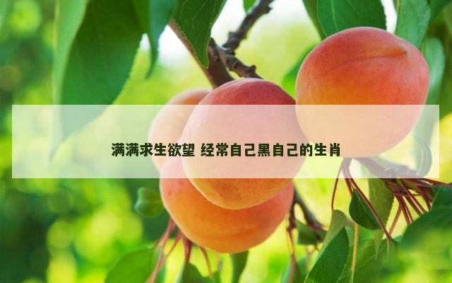 满满求生欲望 经常自己黑自己的生肖
