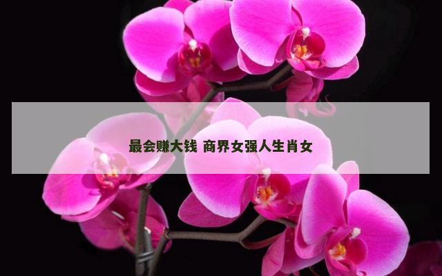 最会赚大钱 商界女强人生肖女
