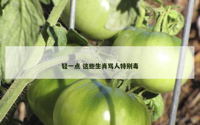 轻一点 这些生肖骂人特别毒