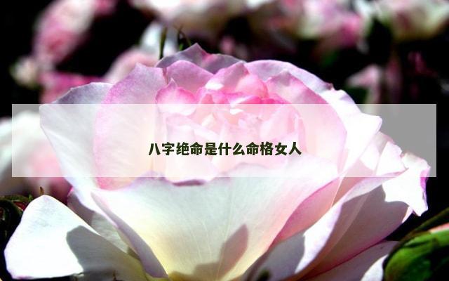 八字绝命是什么命格女人