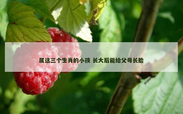 属这三个生肖的小孩 长大后能给父母长脸