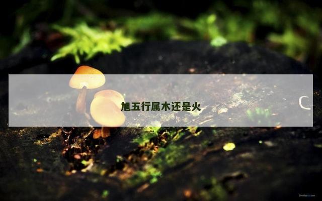 旭五行属木还是火