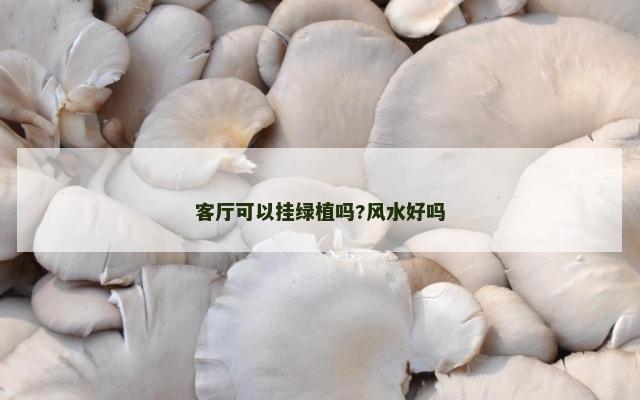 客厅可以挂绿植吗?风水好吗