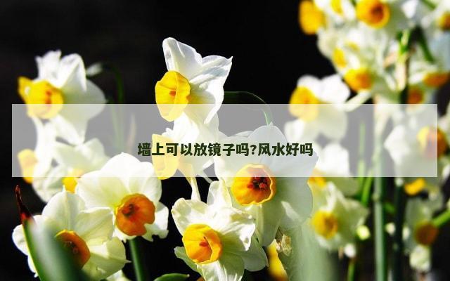 墙上可以放镜子吗?风水好吗