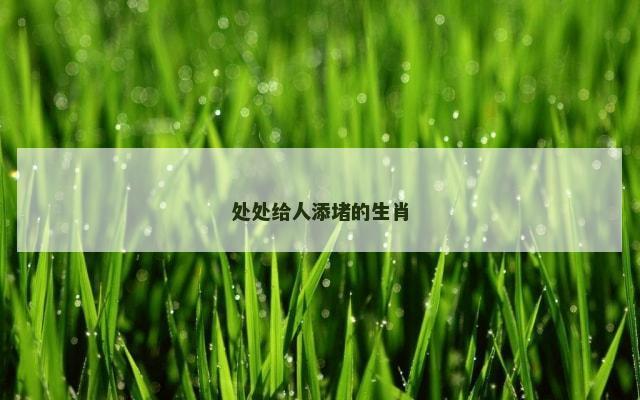 处处给人添堵的生肖