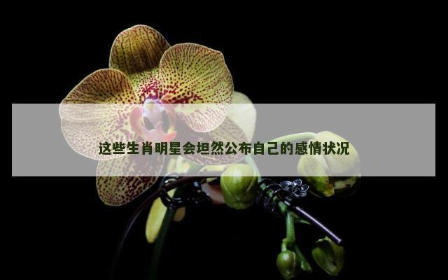 这些生肖明星会坦然公布自己的感情状况