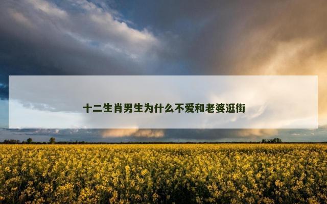 十二生肖男生为什么不爱和老婆逛街