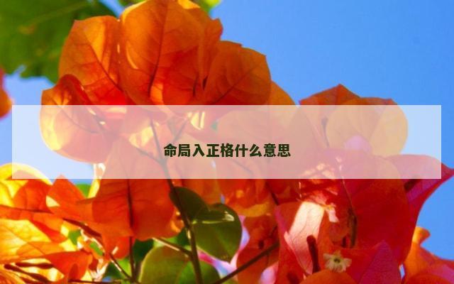 命局入正格什么意思