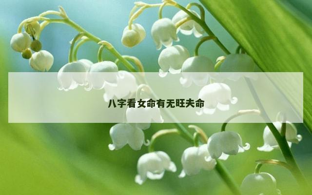八字看女命有无旺夫命