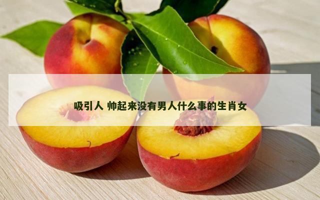 吸引人 帅起来没有男人什么事的生肖女