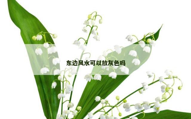 东边风水可以放灰色吗