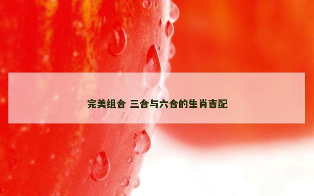 完美组合 三合与六合的生肖吉配