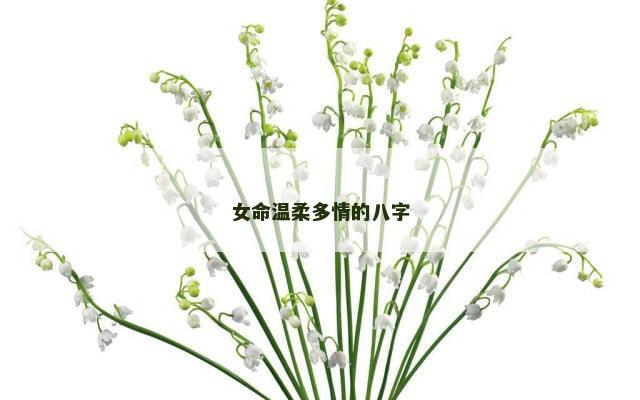 女命温柔多情的八字