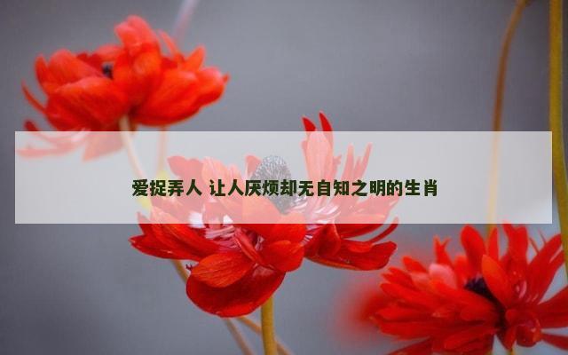 爱捉弄人 让人厌烦却无自知之明的生肖