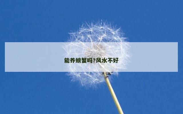 能养螃蟹吗?风水不好