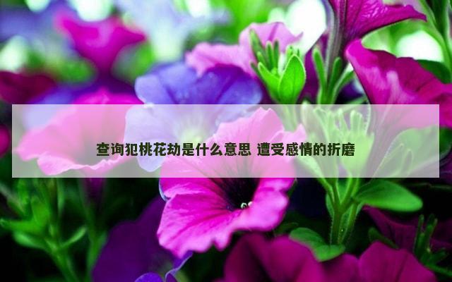 查询犯桃花劫是什么意思 遭受感情的折磨