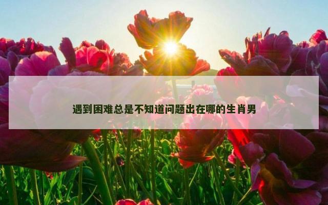 遇到困难总是不知道问题出在哪的生肖男