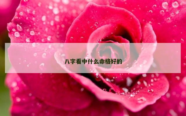 八字看中什么命格好的