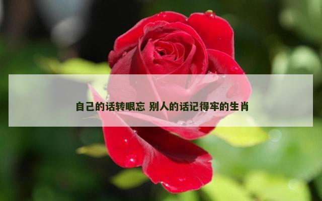 自己的话转眼忘 别人的话记得牢的生肖
