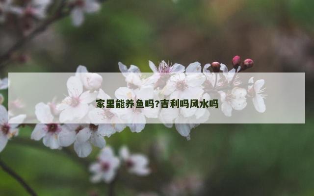 家里能养鱼吗?吉利吗风水吗
