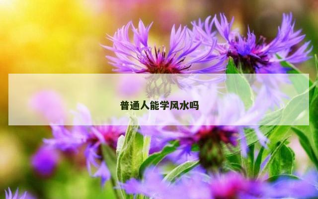 普通人能学风水吗