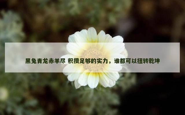 黑兔青龙赤羊尽 积攒足够的实力，谁都可以扭转乾坤