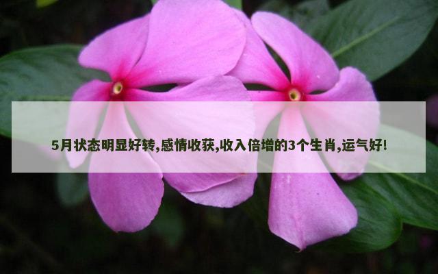 5月状态明显好转,感情收获,收入倍增的3个生肖,运气好!