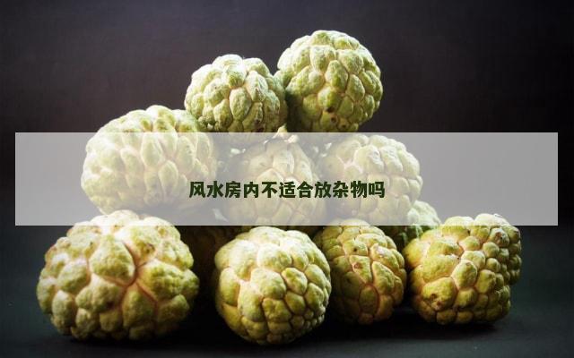 风水房内不适合放杂物吗