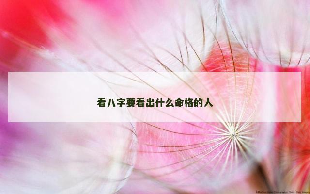 看八字要看出什么命格的人