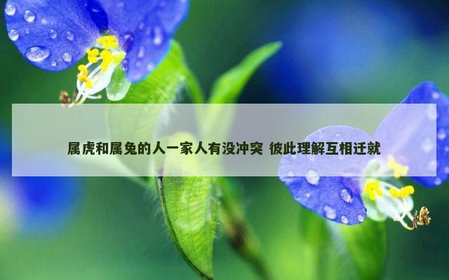 属虎和属兔的人一家人有没冲突 彼此理解互相迁就