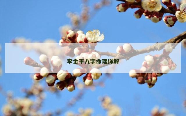 李金平八字命理详解