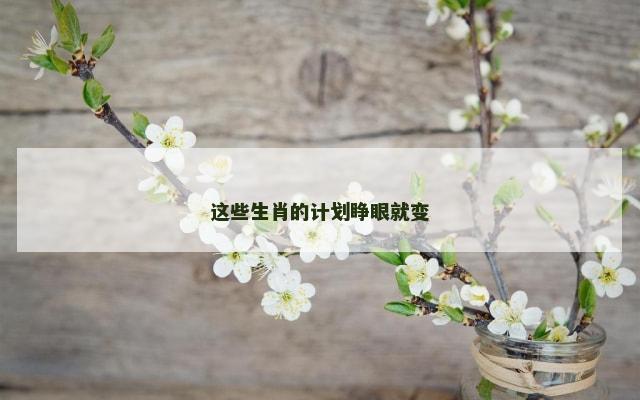 这些生肖的计划睁眼就变