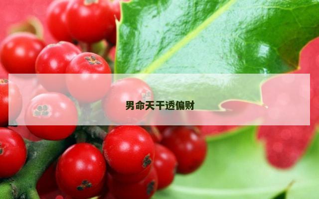 男命天干透偏财
