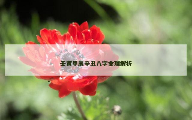 壬寅甲辰辛丑八字命理解析