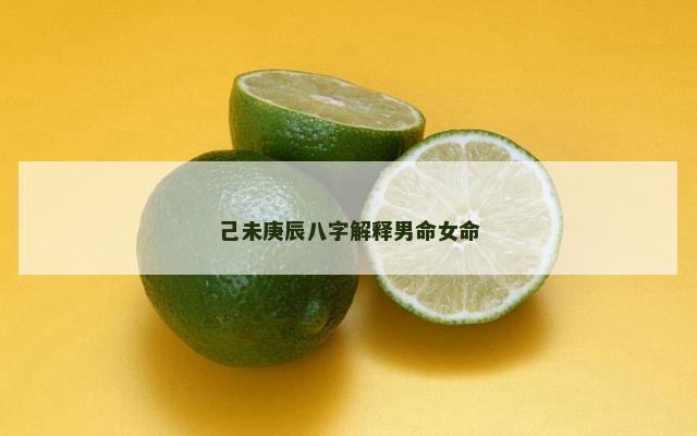 己未庚辰八字解释男命女命