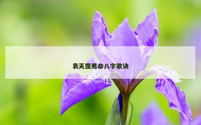 袁天罡男命八字歌诀