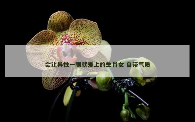 会让异性一眼就爱上的生肖女 自带气质