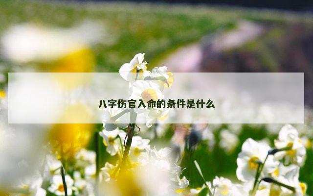 八字伤官入命的条件是什么