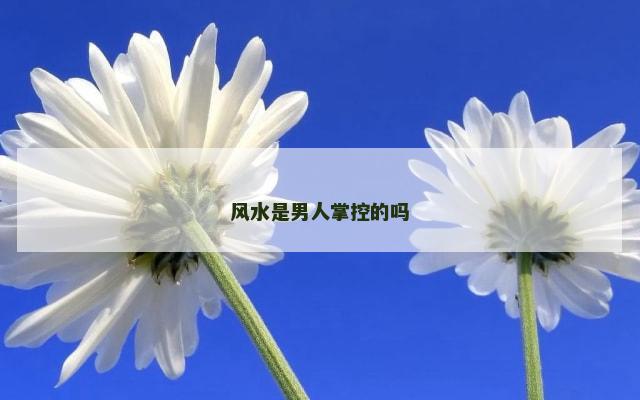 风水是男人掌控的吗