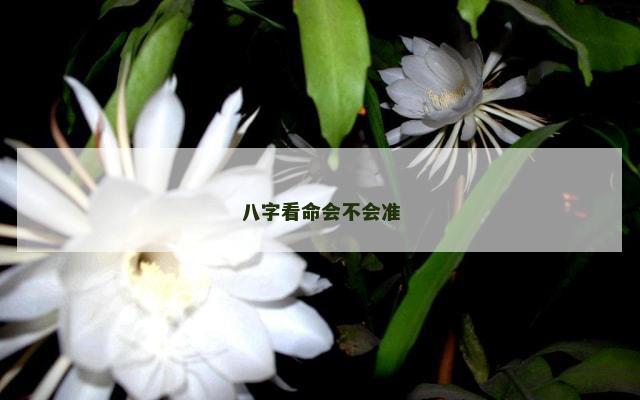 八字看命会不会准