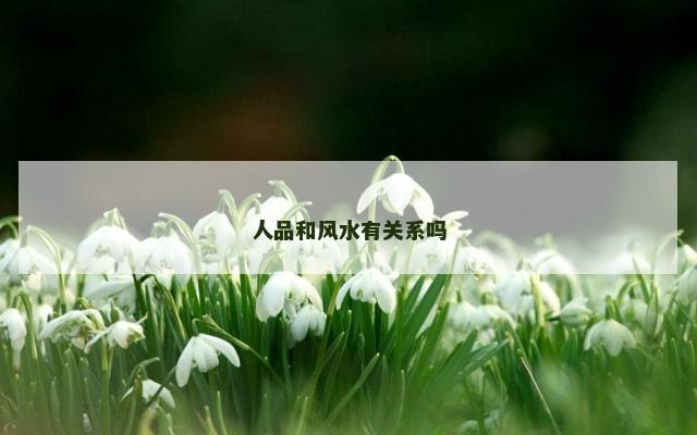 人品和风水有关系吗